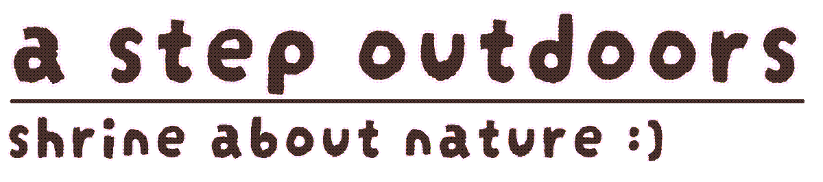 a step outdoors. a shrine about nature